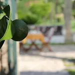 فندق مبيت وإفطار Parco Degli Aranci