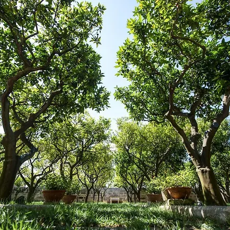 Oda ve Kahvaltı Parco Degli Aranci 4*