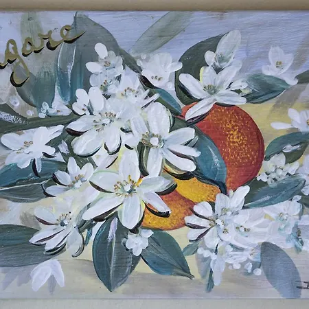 Parco Degli Aranci Bed & Breakfast Cutrofiano