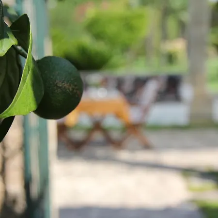 Oda ve Kahvaltı Parco Degli Aranci