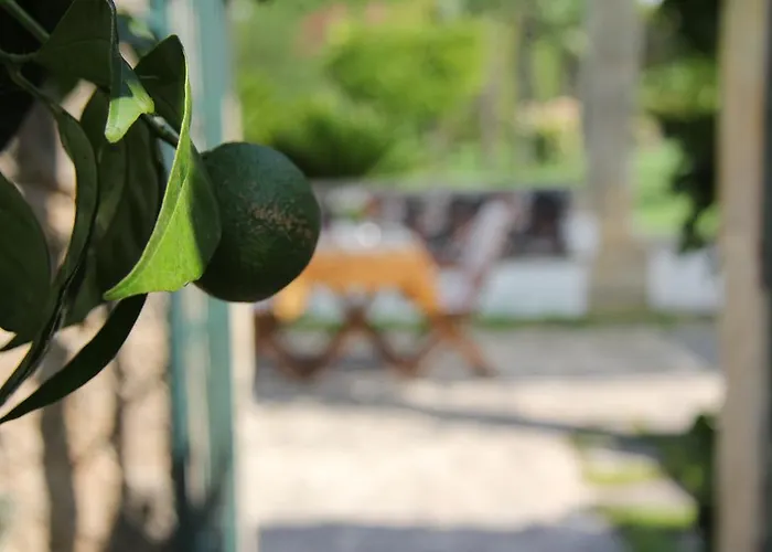 Bed & Breakfast Parco Degli Aranci